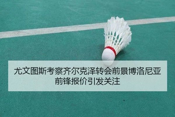 尤文图斯考察齐尔克泽转会前景博洛尼亚前锋报价引发关注